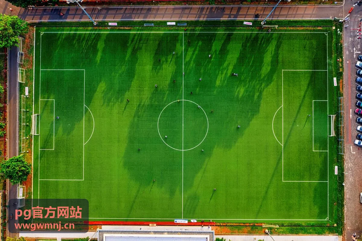 pg官方网站会员专属内容预览：记录留存说明